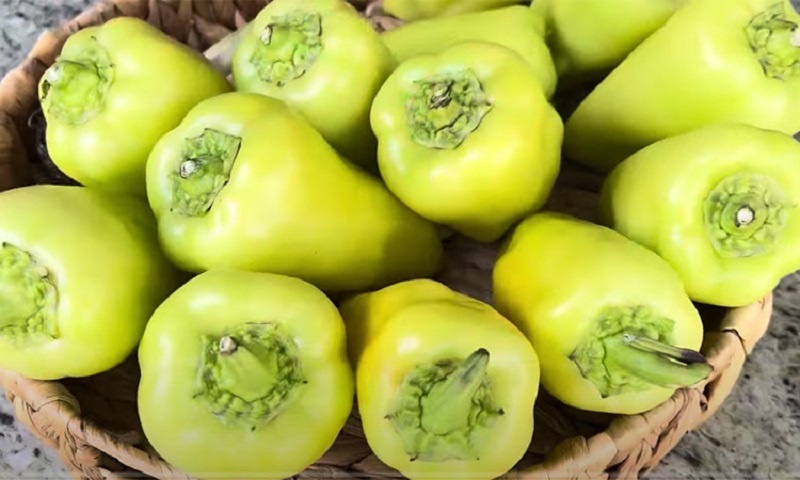 Перцы на скорую руку: летняя закуска, которая выигрывает у любого салата
