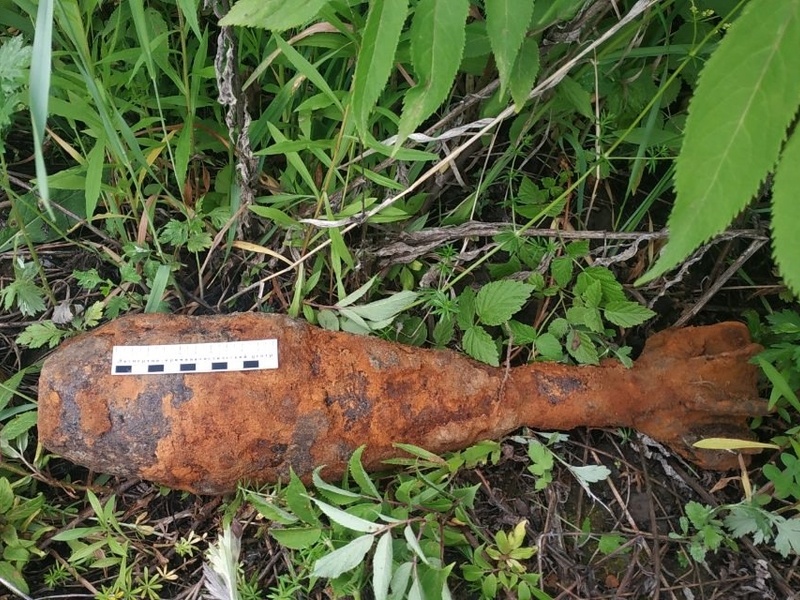    Фото: 58.rosguard.gov.ru