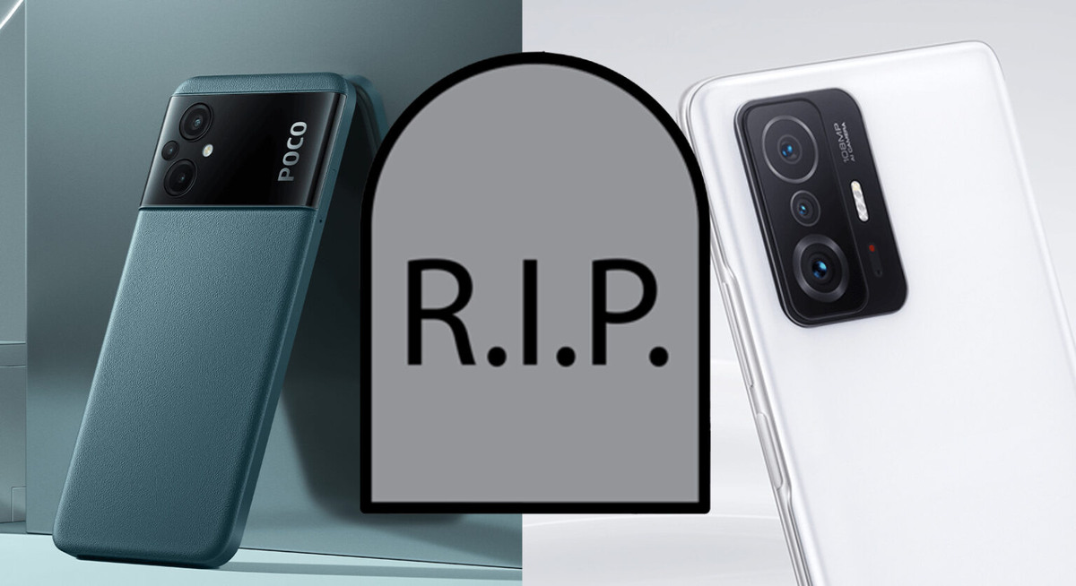 Фото: Xiaomitime  📷
