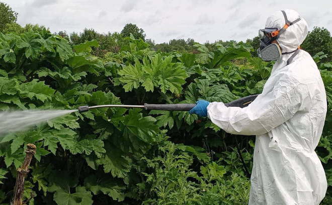    © t.me/lenobladminka