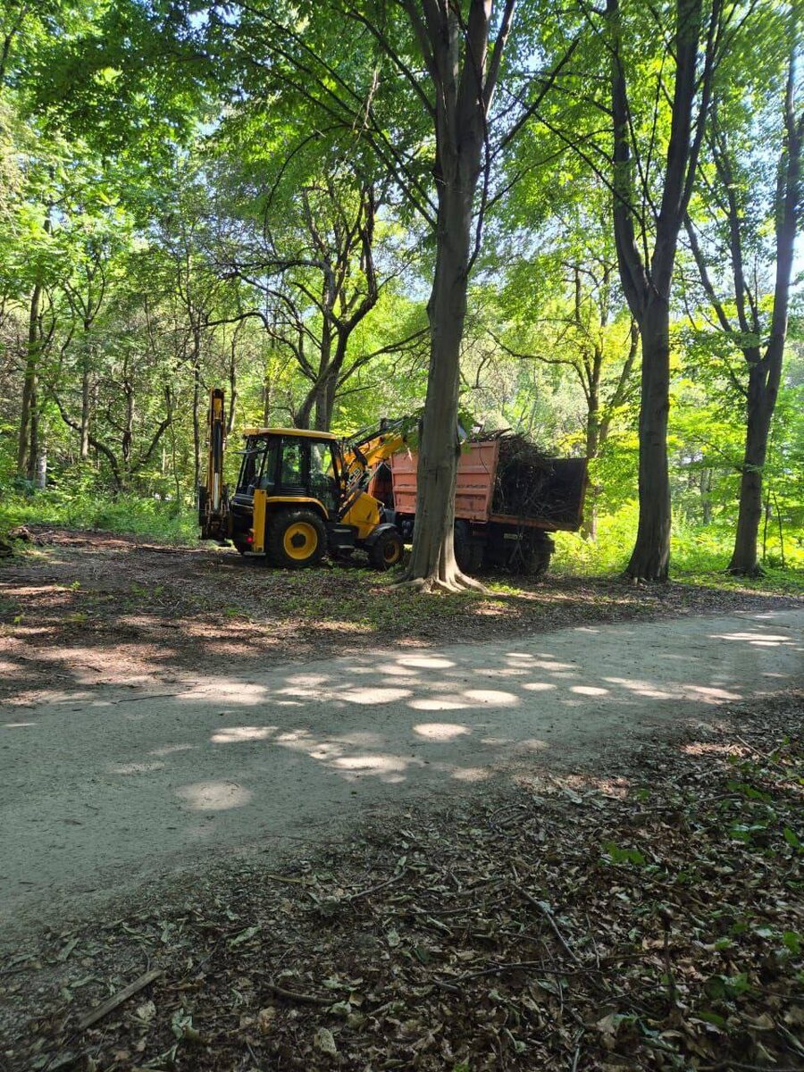    Фото: АМС Владикавказ