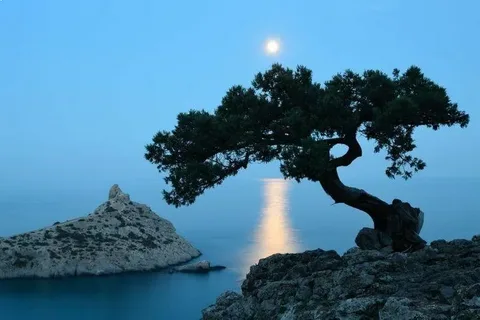 изображение из открытых источников