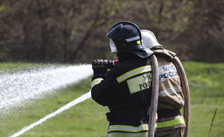    Юрий Еськов/Курские известия