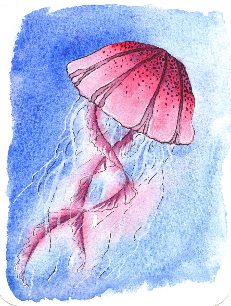 Упражнение №2