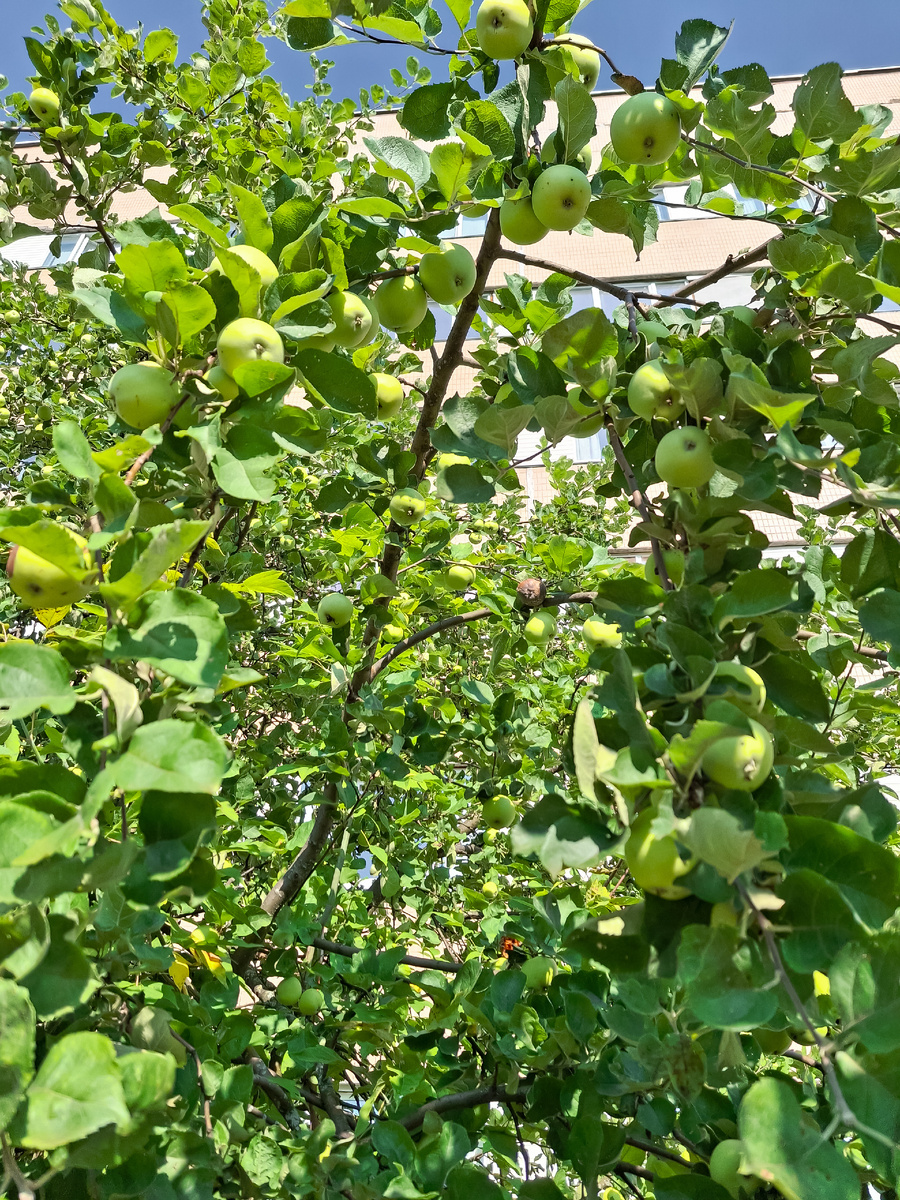 Территория моей работы