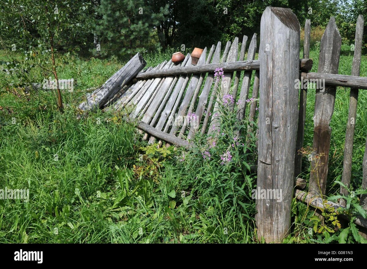 картинка из интернета