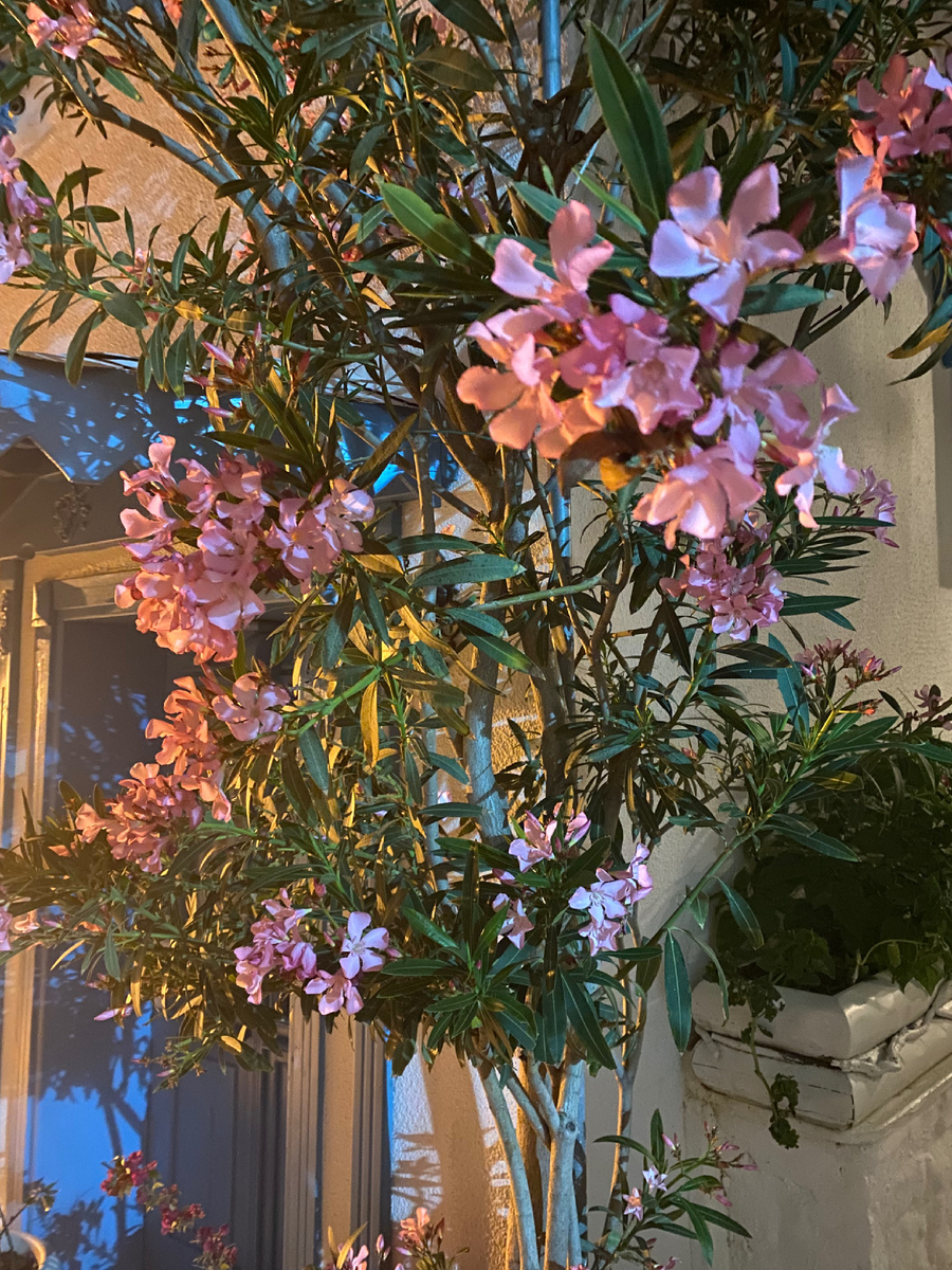 Старый город