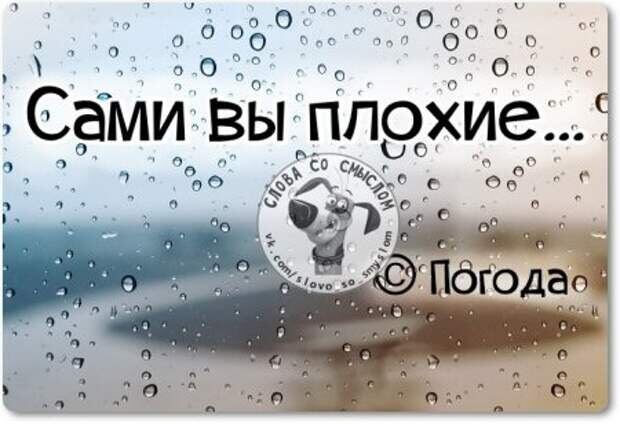 Фото из открытых источников сети Интернет 