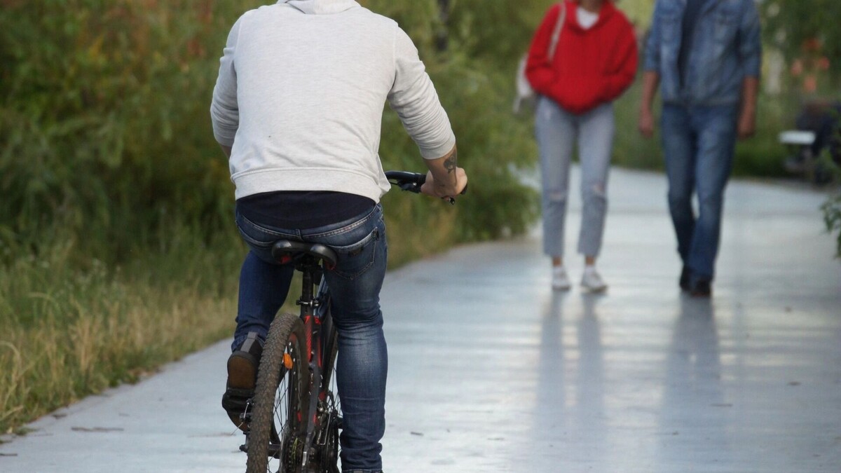     Источник: 1MI