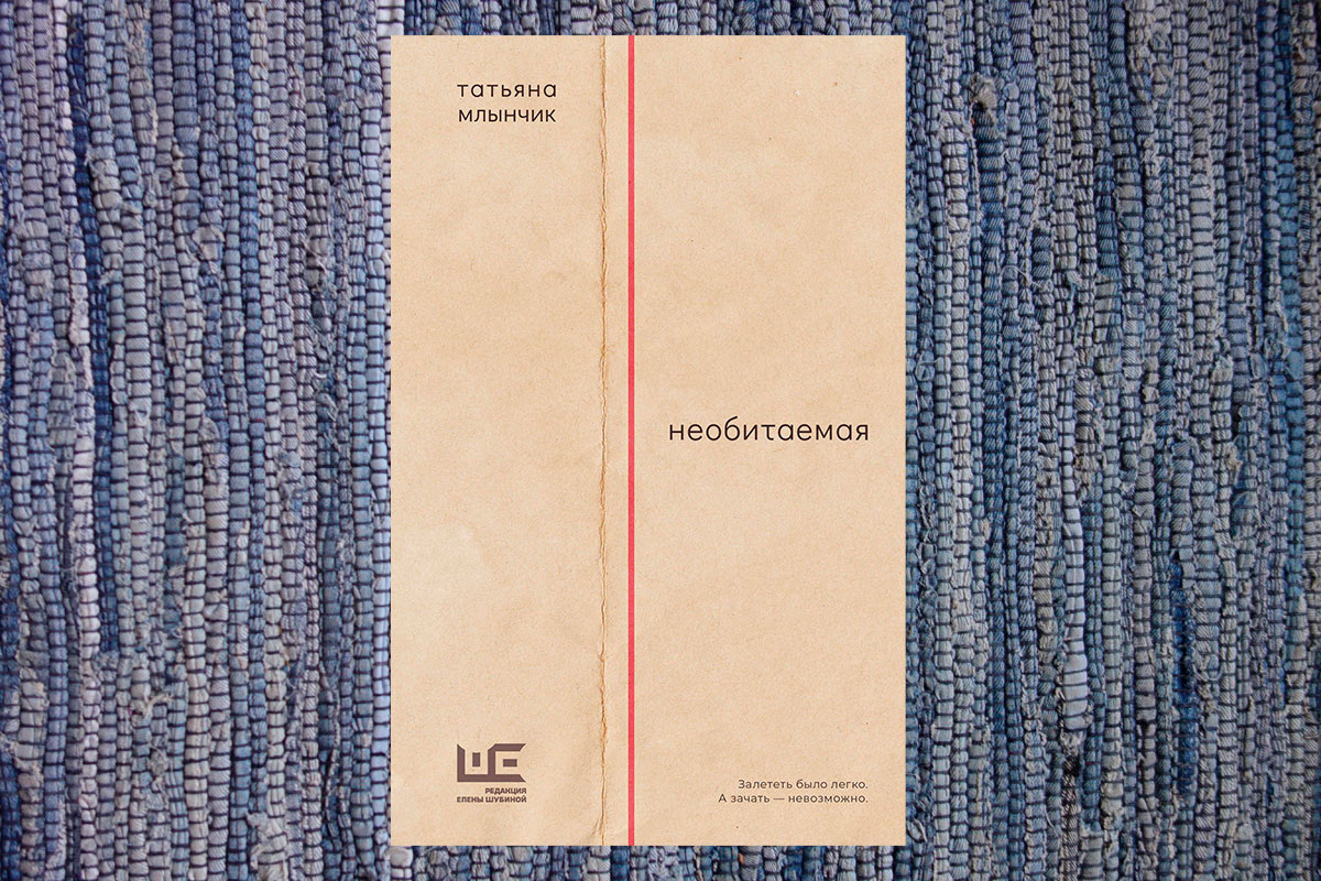 Оригинальное оформление обложки. Это те самые 2 полоски. Для одних вожделенных, других приводящие в ужас.