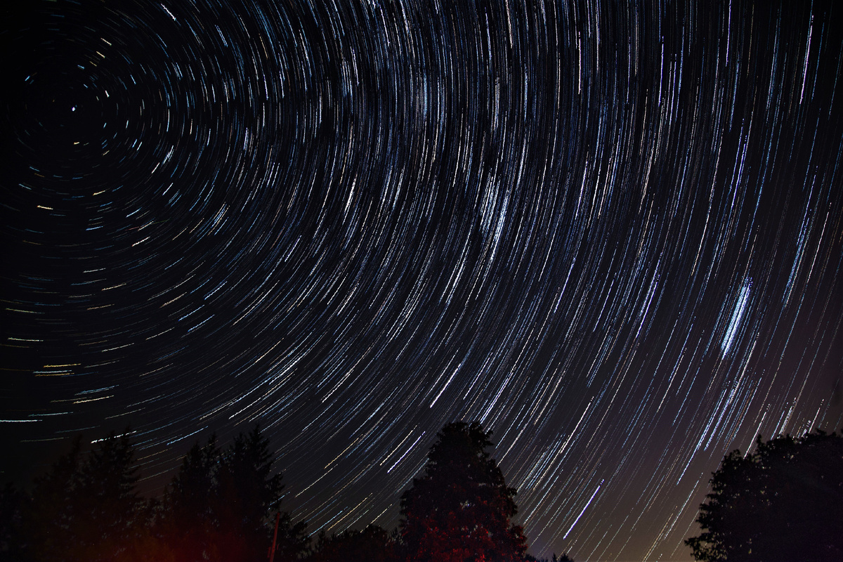 Источник: Freepik