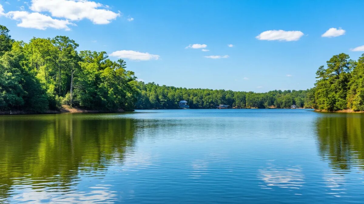    Сгенерировано ИИ