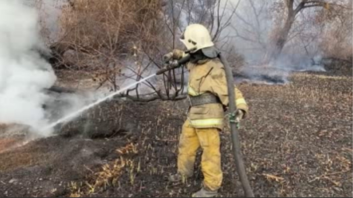   Обзор событий в Курской области за неделю от спасательного ведомства
