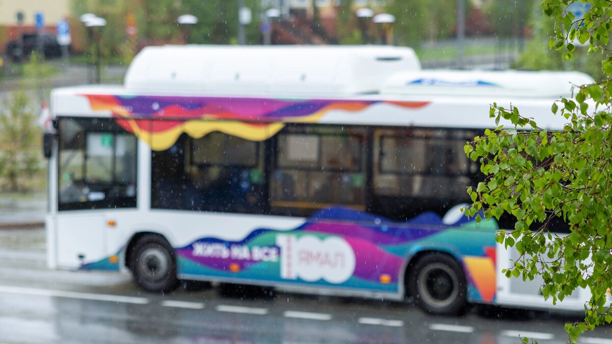    Фото: Фёдор Воронов / «Ямал-Медиа»