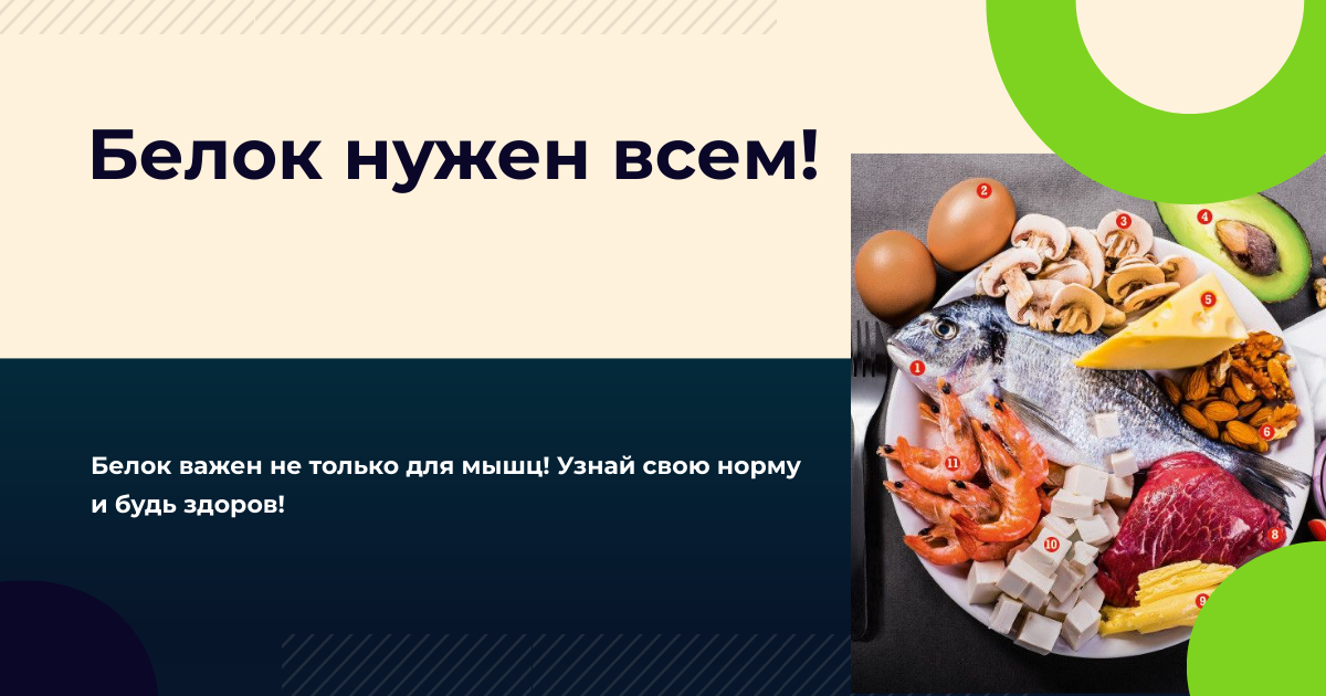 Белок для организма
