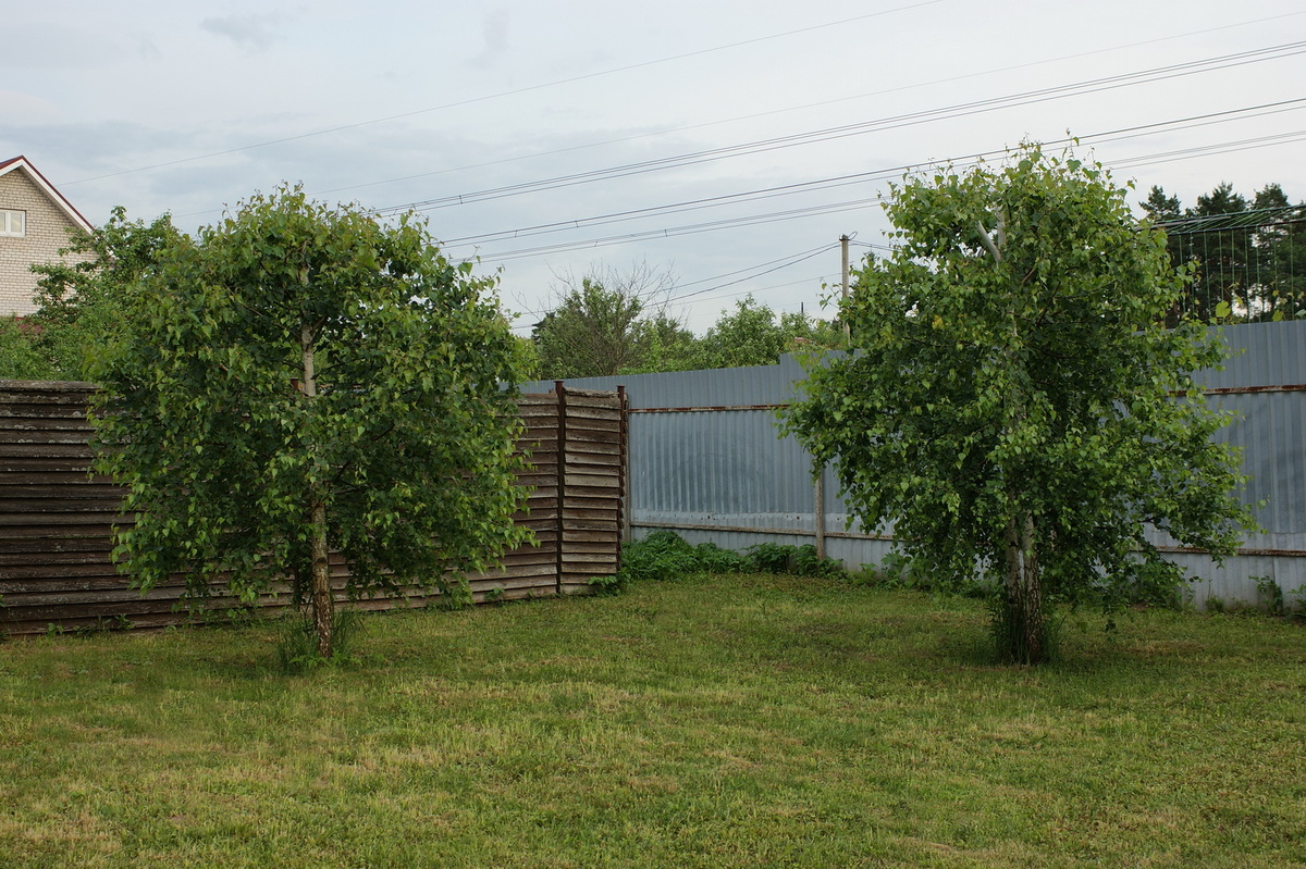 11 июня 2025 года. 