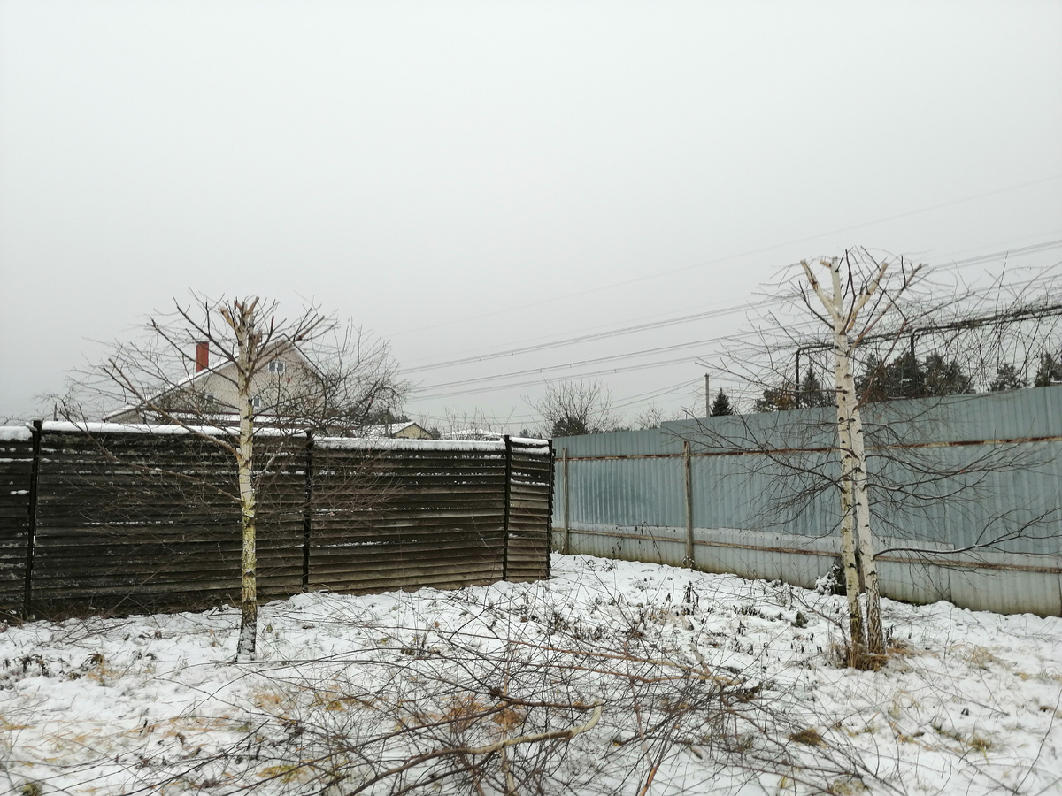 Обрезка в ноябре 2024 года. 