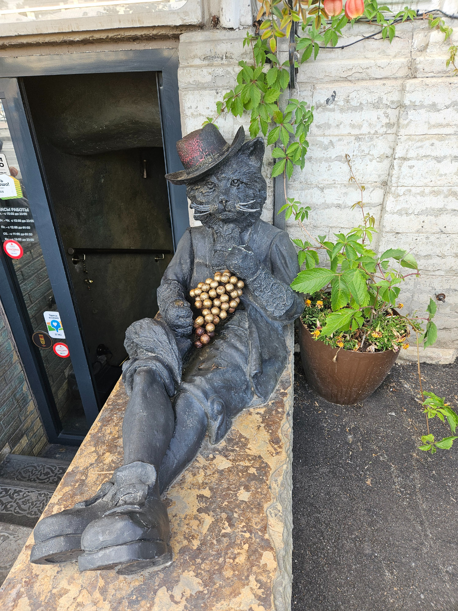 Лежу примерно как этот кот.