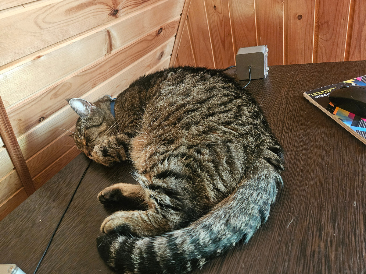 Виссариону Семеновичу особенно тяжело.