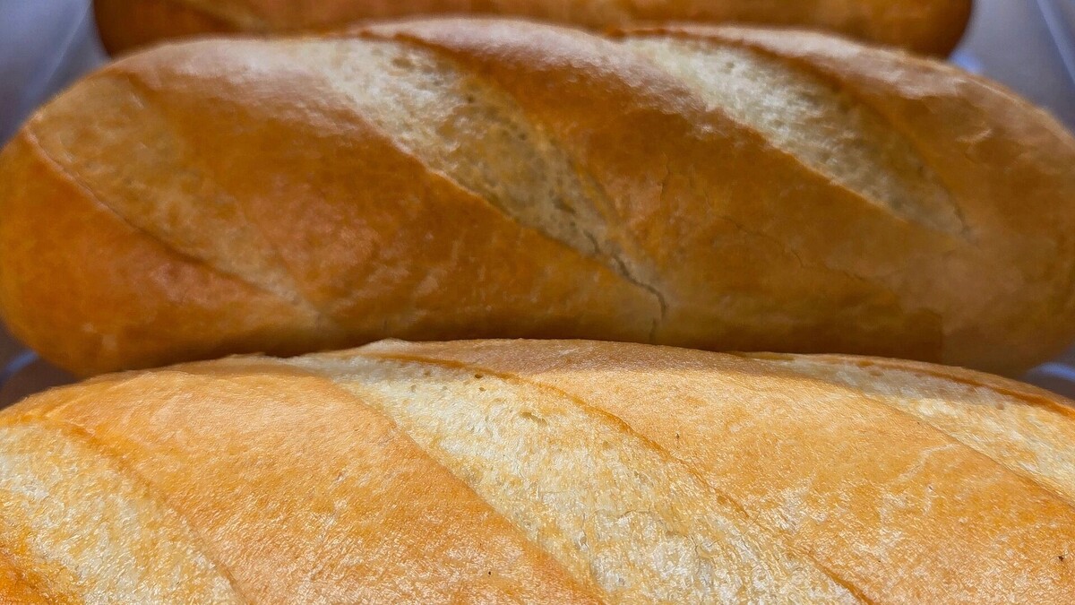     Автор: KubanPress Источник: kubanpress.ru