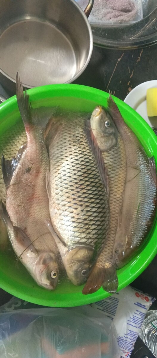    Какую рыбу ловят в Алтайском крае. Источник: Алтайское Рыболовное Сообщество / Vk.com