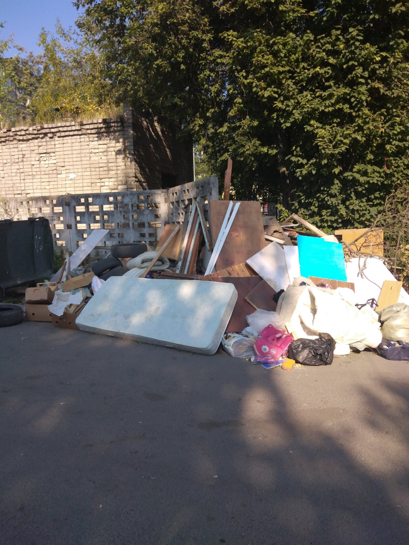    Горожане жалуются на лес из репейника и горы из мусора в Петрозаводскегруппа ВКонтакте "Подслушано в ПТЗ"