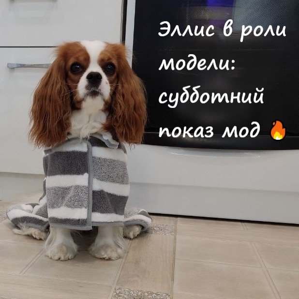 Наш вердикт по банному халатику для принцессы: "Это нам подходит=)", но воротничок... пришлось доработать! ✂️ 