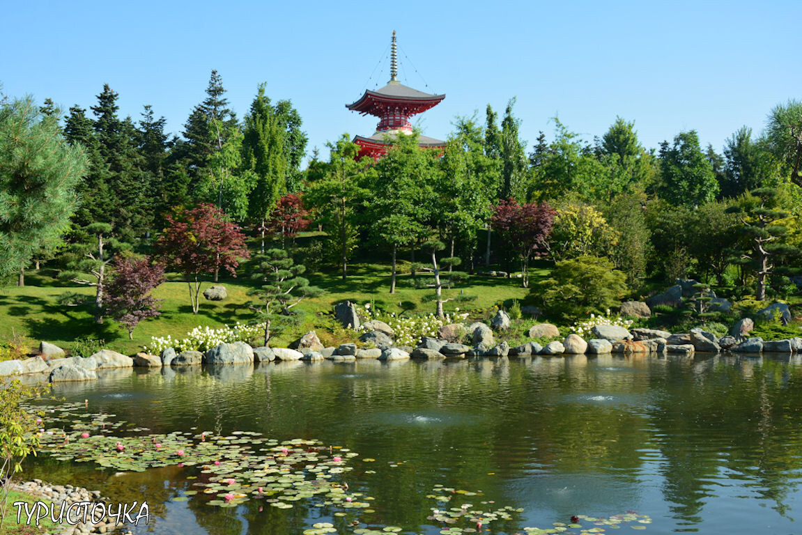 Японский сад в Краснодаре. Зеркальный пруд Кагамиикэ