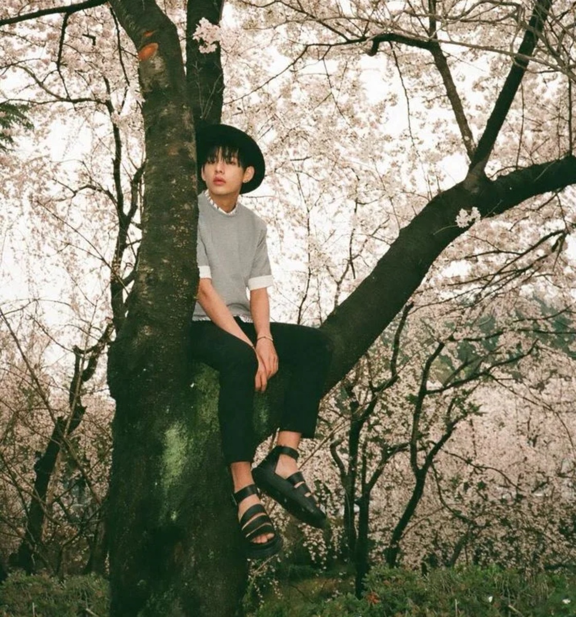 Серьёзно? Чтобы найти себя нужно уйти в лес? Ну вот я здесь, что дальше? 