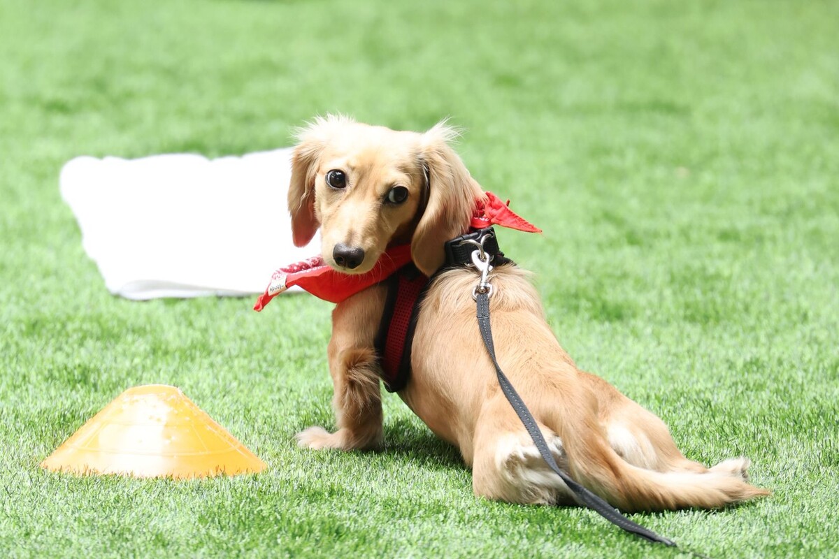     / Источник: © Global Look Press