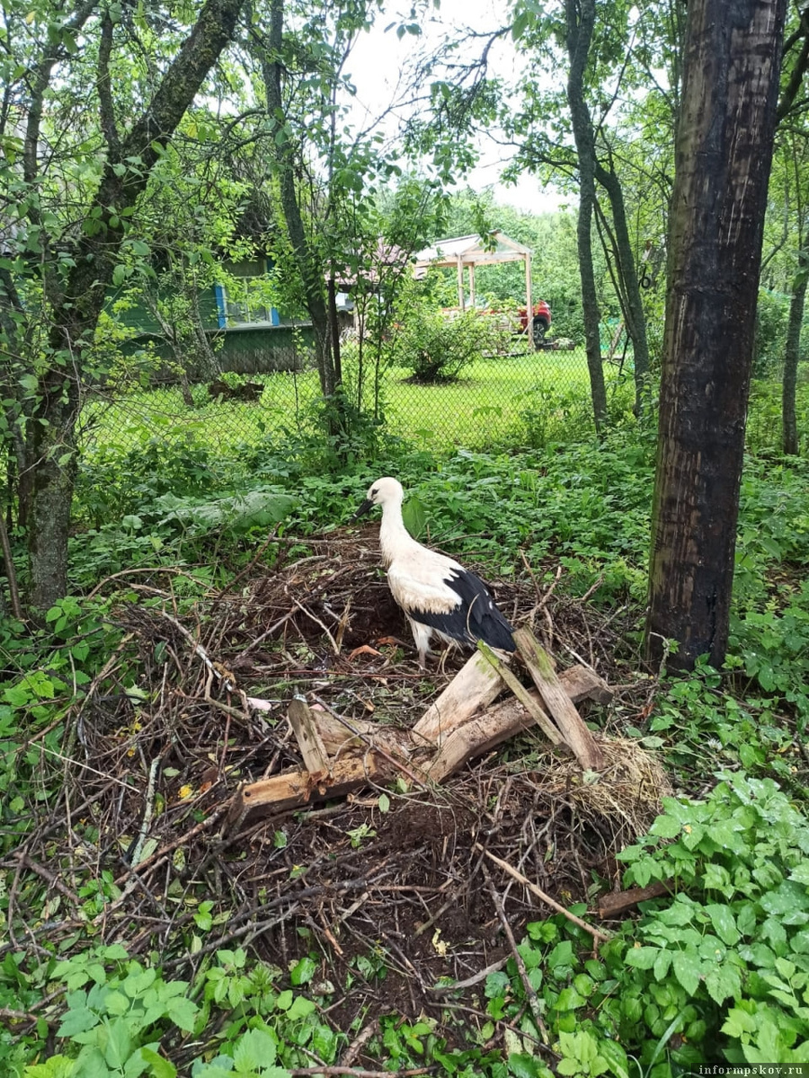 Фото здесь и далее: Ирина Егорова