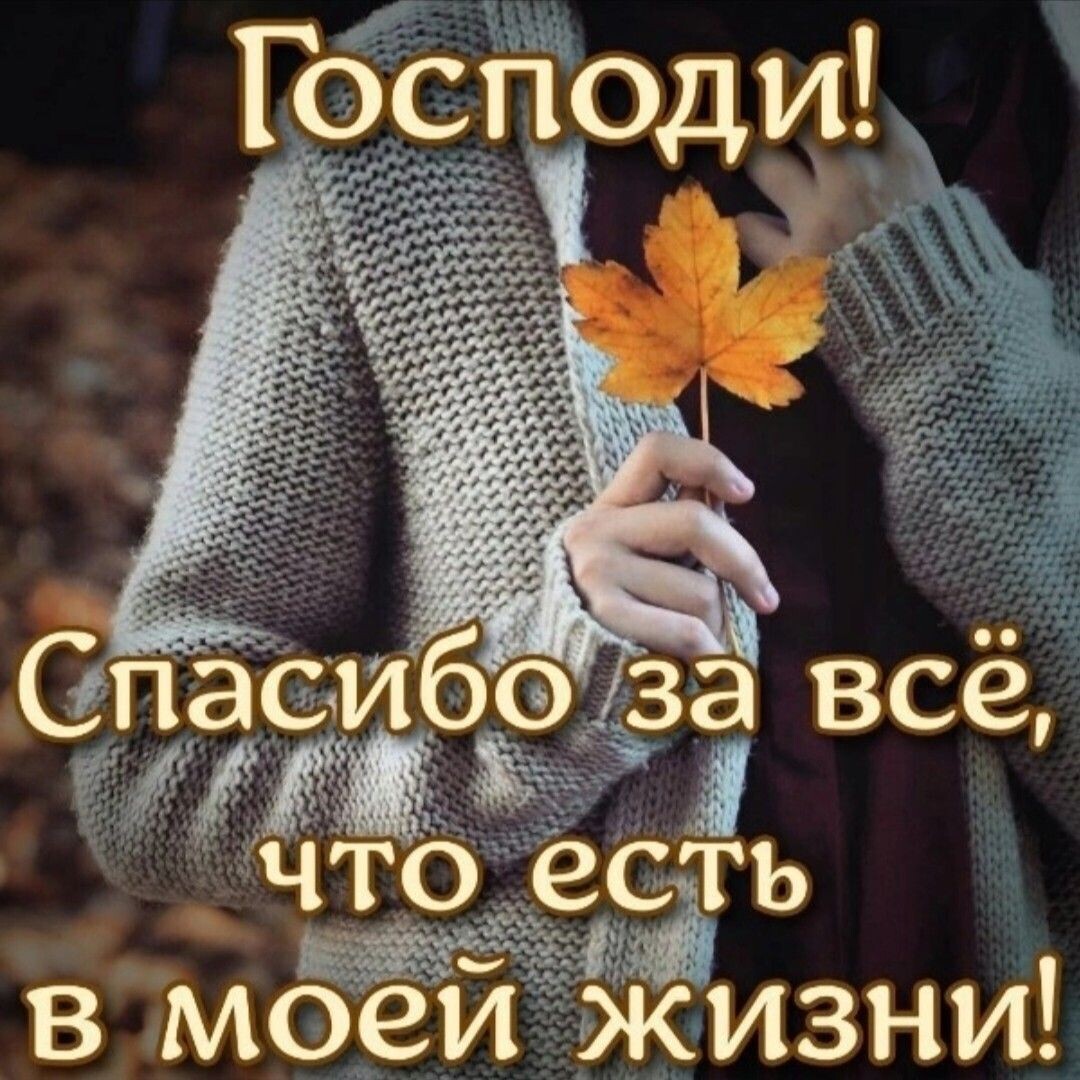 Источник изображения: Pinterest