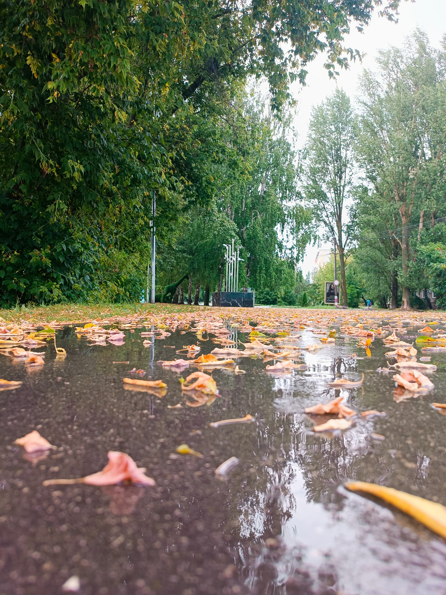 На Верхнем пруду