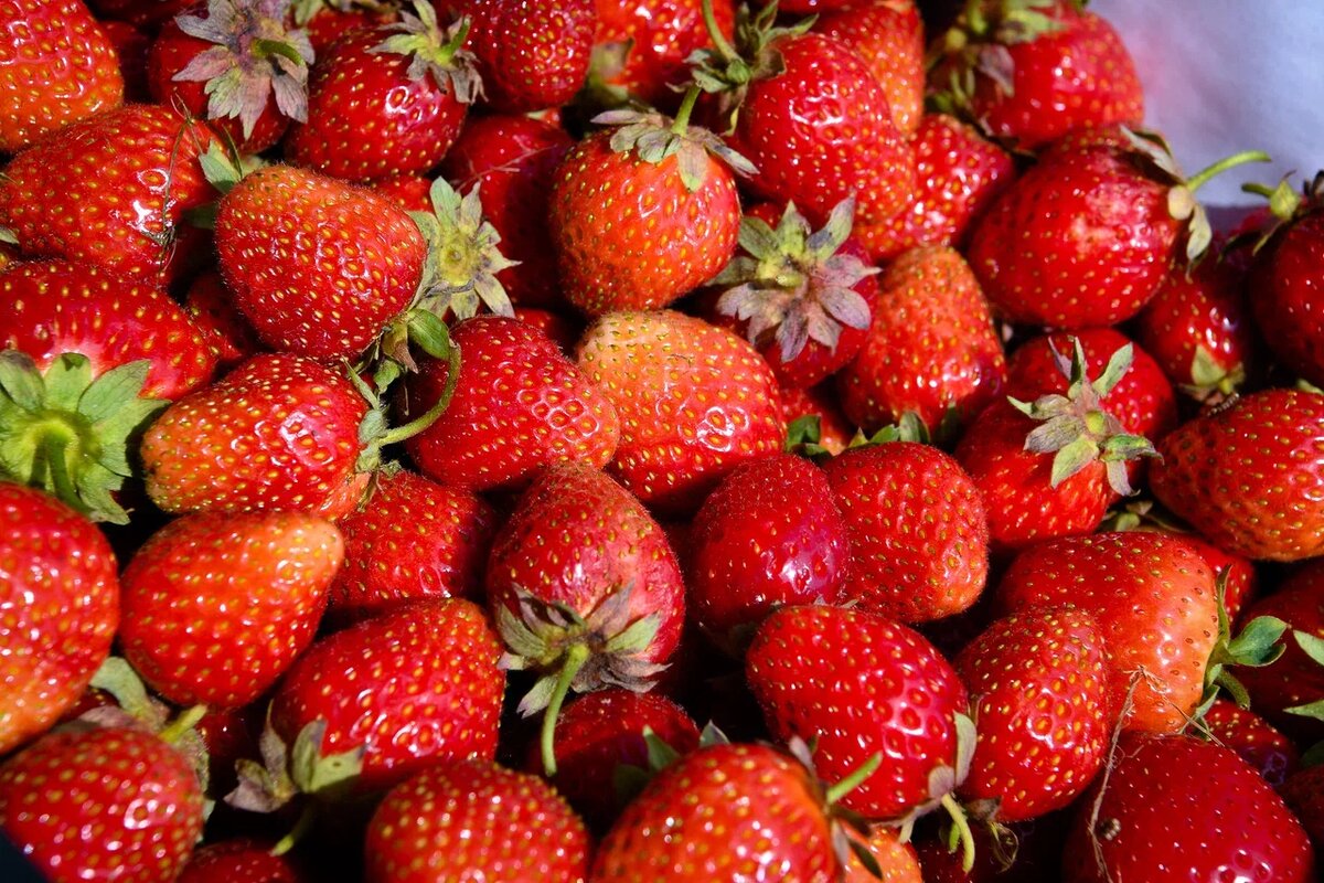    Фото: "Республика"/ Оксана Кудряшова