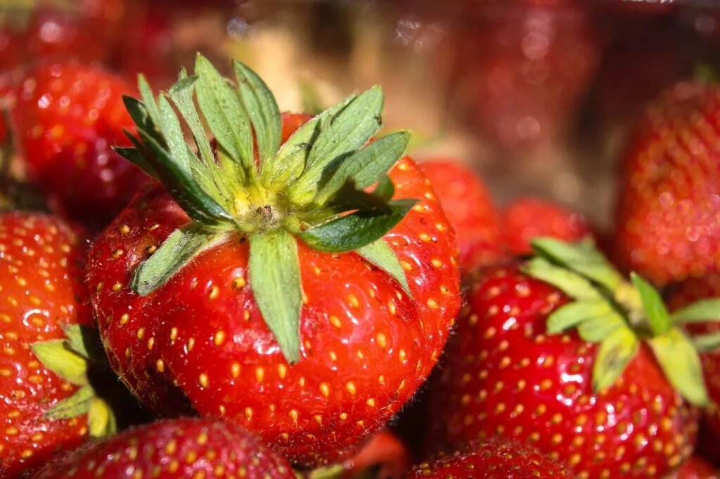    Фото: «Республика»/ Оксана Кудряшова