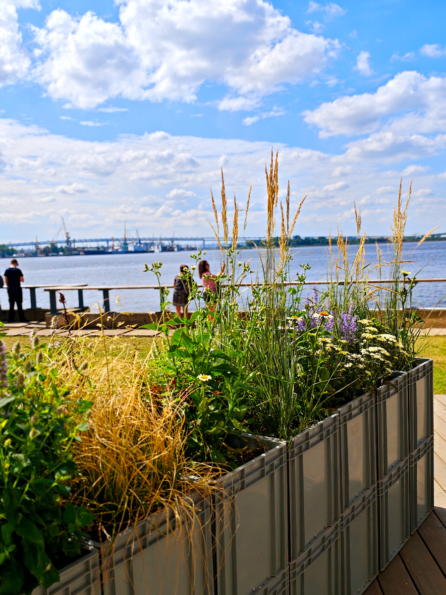 Санкт-Петербург. Севкабель порт. Фото автора. 
