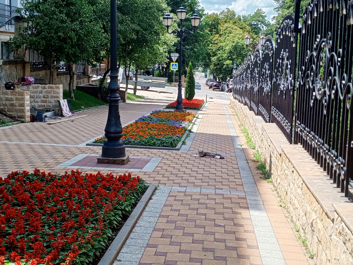 Улица Ходжаева в Кисловодске.