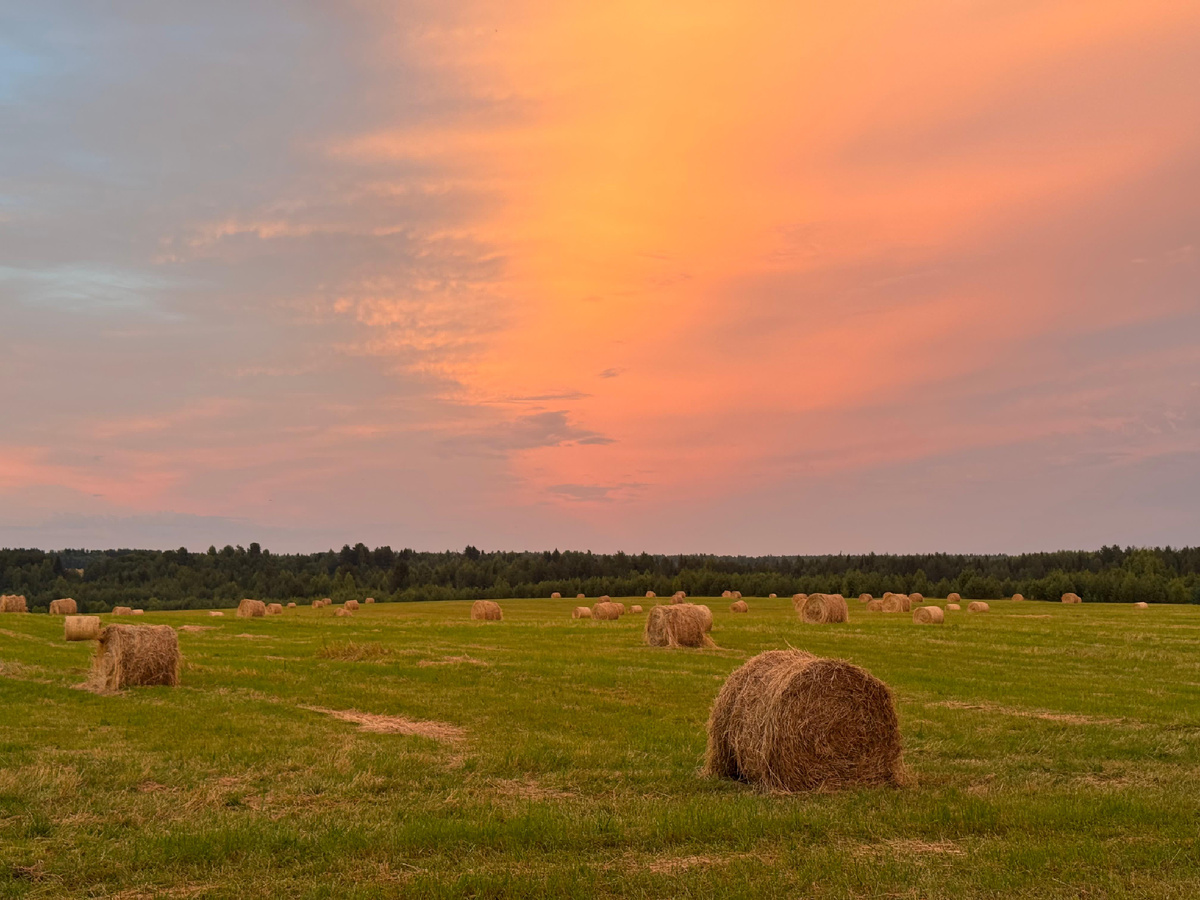 Потрясающе