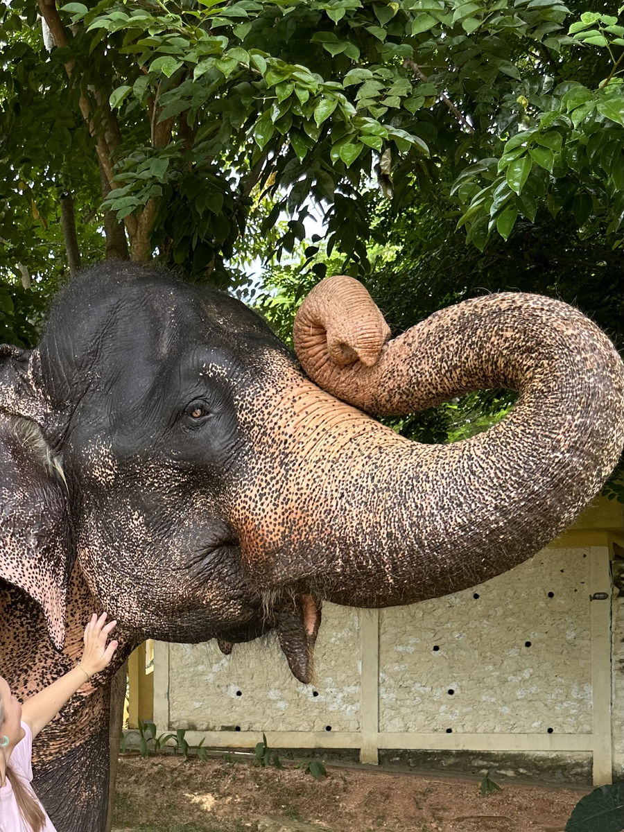 ну что за милашка?