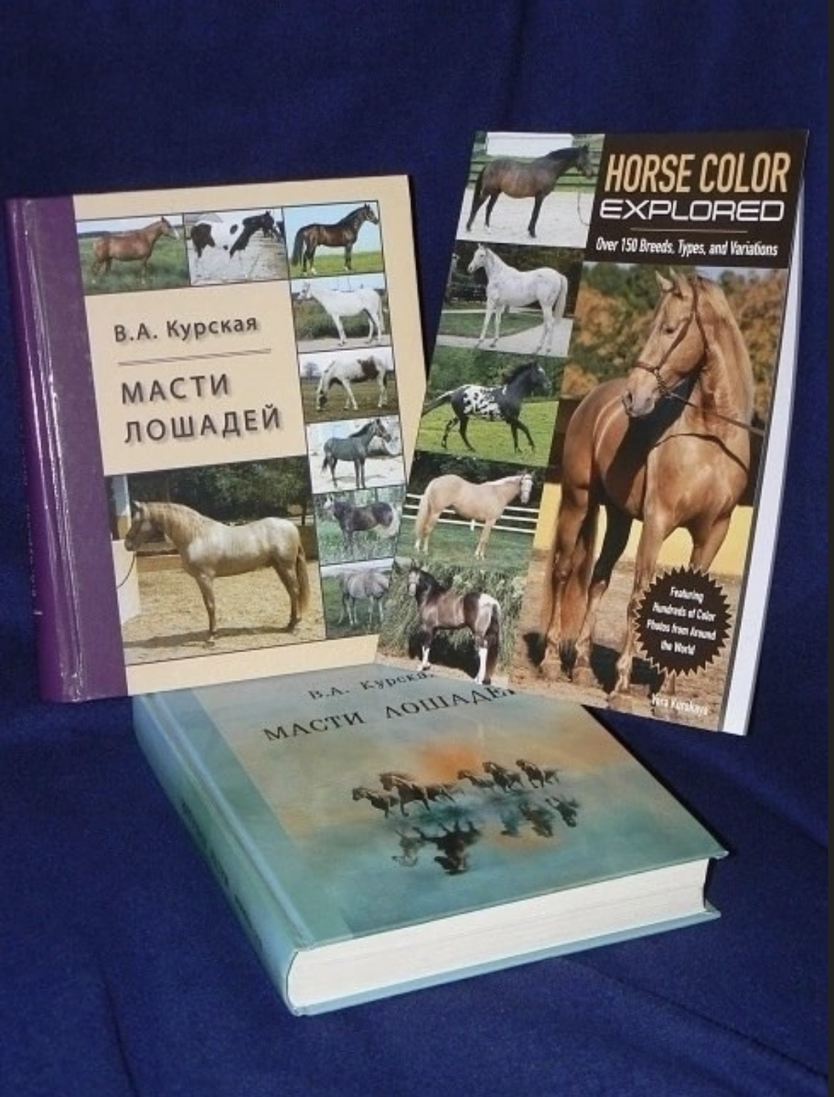 Фото работ Веры Курской на ее личной странице