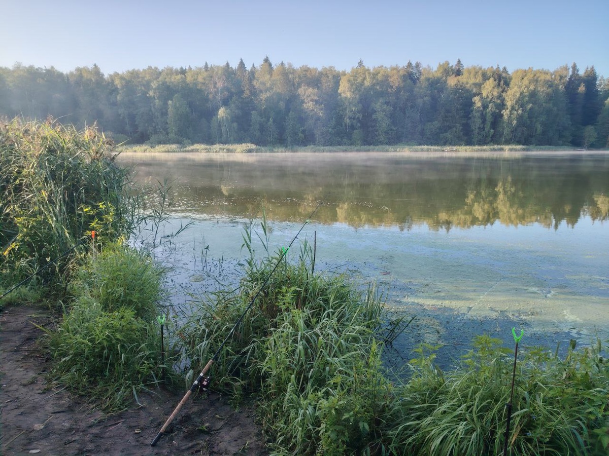 секретное место снова в деле