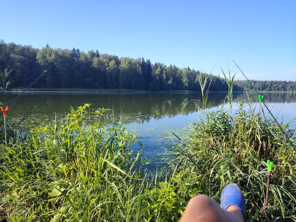 ожидание поклевки