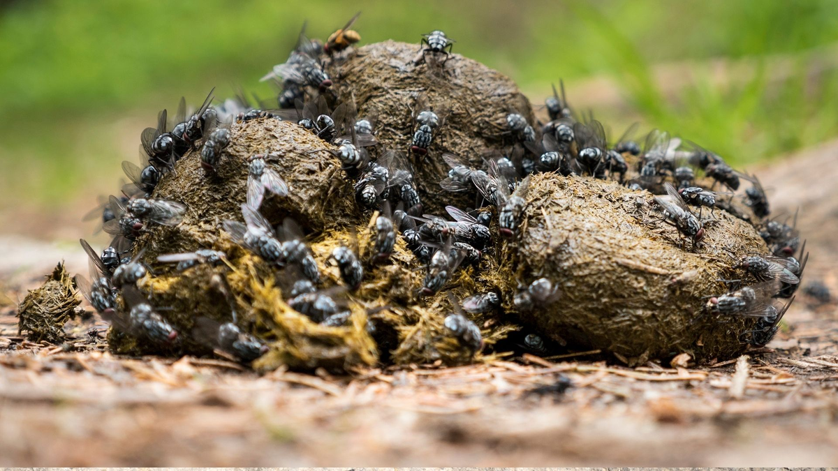 Комментарий к посту ""МАРКС ОЧЕНЬ ТОЧНО СФОРМУЛИРОВАЛ..."