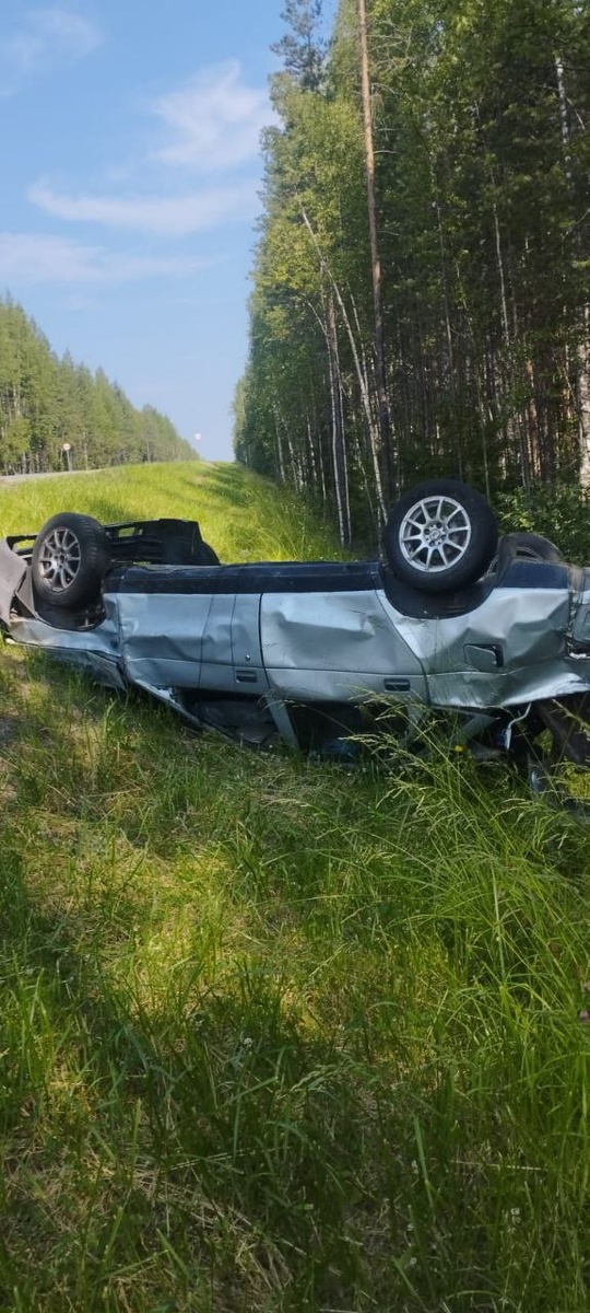    Фото: Госкомитет Карелии по безопасности / Telegram