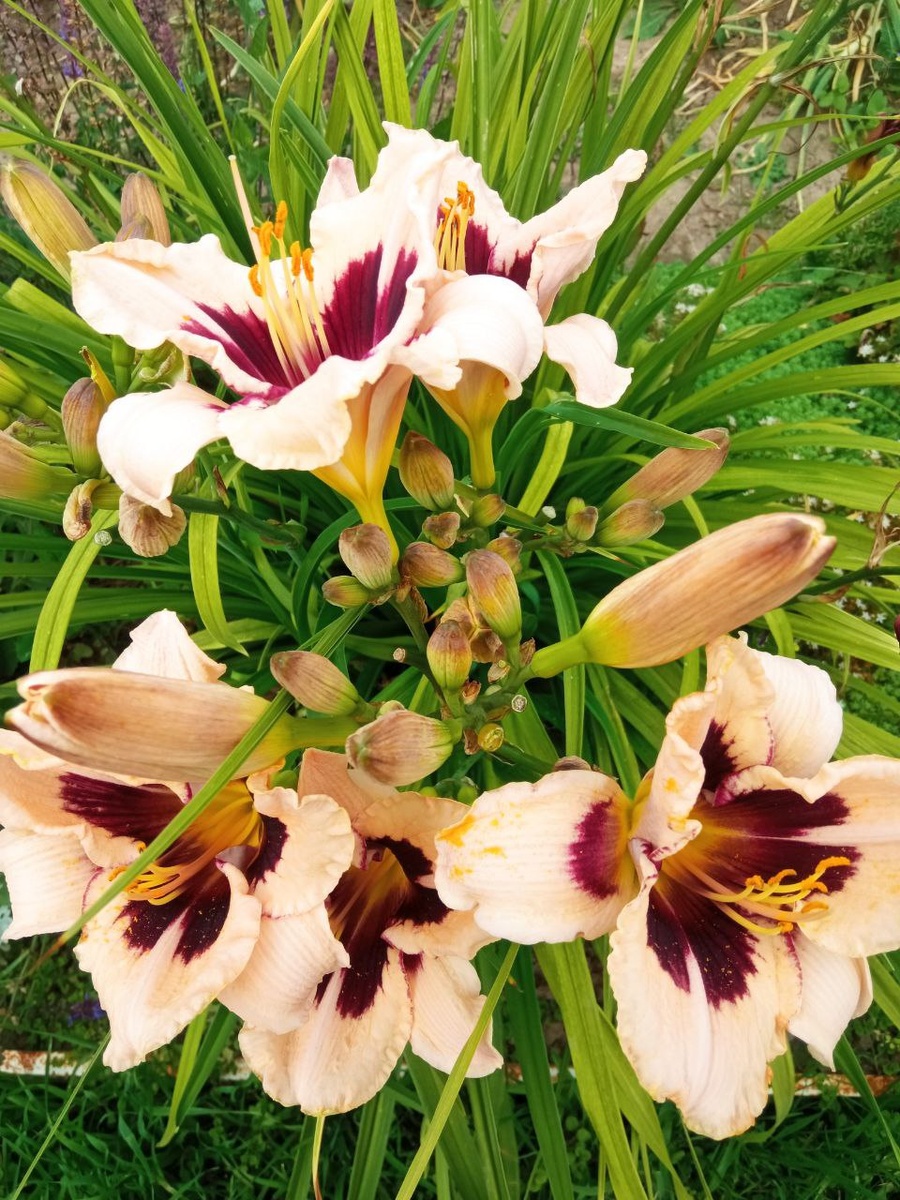 Фото автора канала 