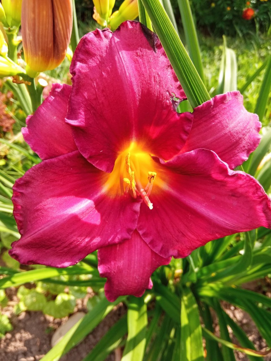 Фото автора канала 