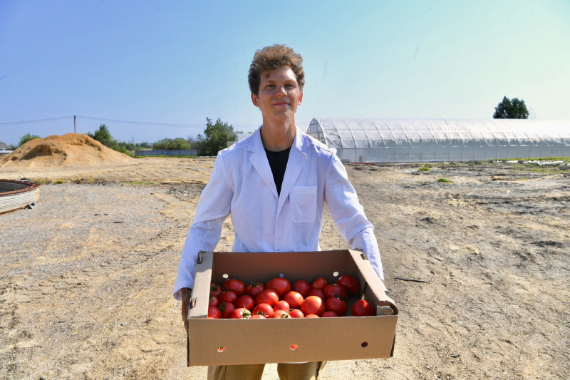    Помидоры растут в Карелии, не касаясь землиМинистерство сельского и рыбного хозяйства Карелии