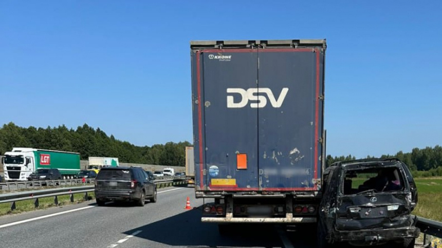    Фото: Telegram/Новостная лента сайта ГУ МВД России по Московской области/gumvd50