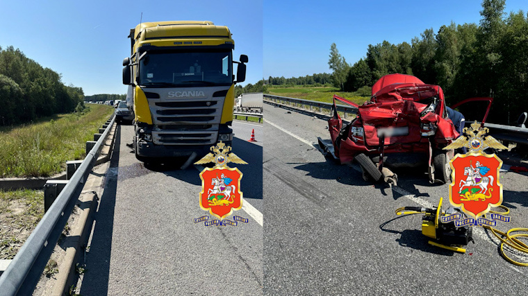    Фото: Telegram/Новостная лента сайта ГУ МВД России по Московской области/gumvd50