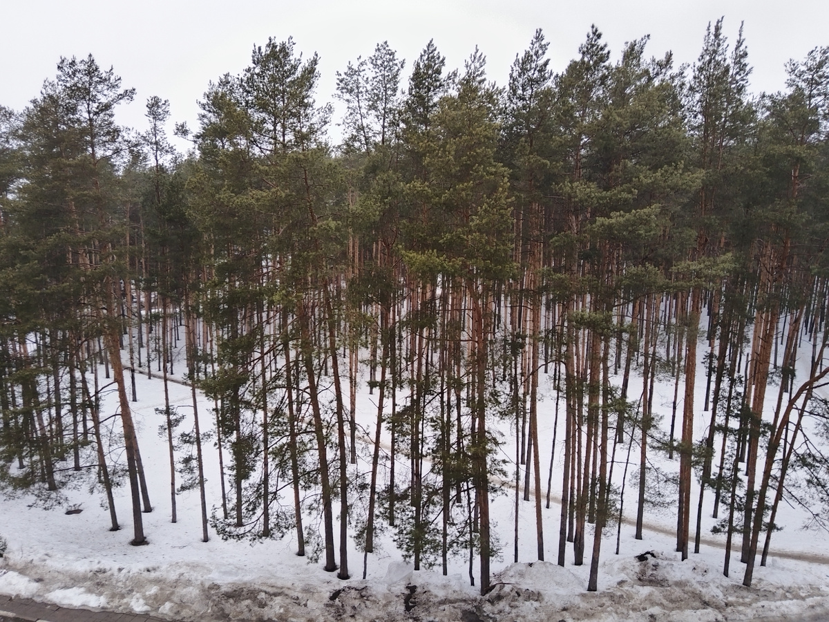 Вид из окна моего номера